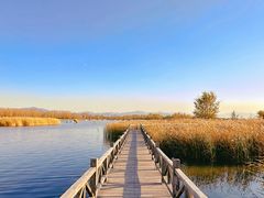 -野鸭湖国家湿地公园