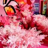 来颐堤港，不只是音乐节