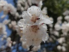 -Bread Talk 面包新语(荟聚店)