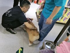 -FAELING PETS美天灵宠物(富力广场店)