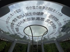 -银湖山郊野公园-相思林