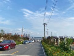 -养马岛旅游度假区