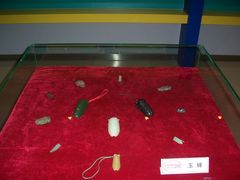 -上海昆虫博物馆