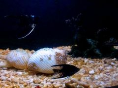 -洛阳龙门海洋馆