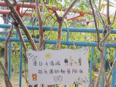 -大信·云顶星河游乐王国