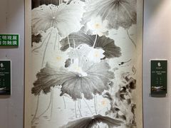 -花溪公园