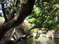 -上海醉白池公园