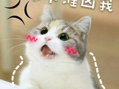 -大雄寿司(中华广场店)
