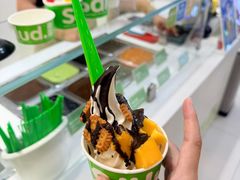 -Salud撒露欧洲冻酸奶(蓝色港湾店)