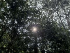 -窦圌山风景区