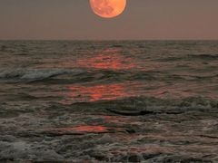 -长春市南湖公园