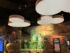 -沈阳海洋探索中心