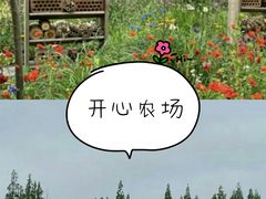 -前小桔亲子创意农场·草莓采摘·露营烧烤