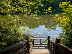 -白马涧龙池景区