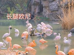 -宁波野生动物园