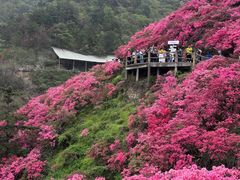 -木兰云雾山