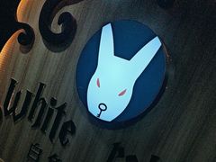 -白兔子密室(长寿路店)