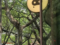 -WHEN PIGS FLY当猪飞
