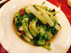 -全聚德烤鸭店(准噶尔路店)