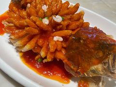 -新梅华餐厅(星悦汇店)