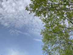 -青藏高原野生动物园