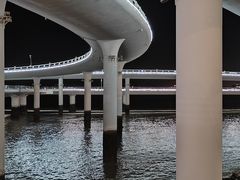 -演武大桥观景平台