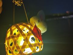 -西湖游船