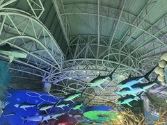 -烟台海昌鲸鲨海洋公园