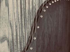 -叶老师古筝工作室(杨公桥店)