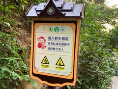 -西双版纳原始森林公园