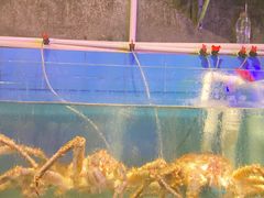 -辉记炭烧海鲜大排档·老字号(福田店)