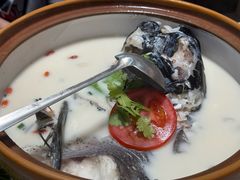 -全乐鱼馆·淳牌有机鱼直营店