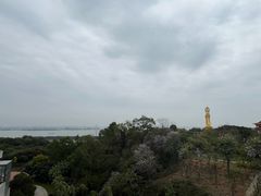 -广州莲花山旅游区