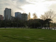 -新虹桥中心花园