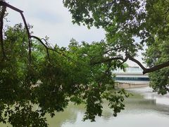 -成都市活水公园