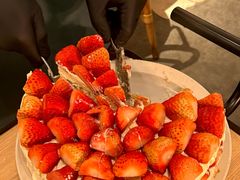 -O'eat Blossom&Pelican(深圳首店)