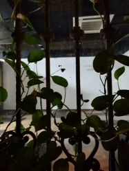 -兴亚瑜伽20年老馆