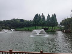 -龙吟九品(青龙山庄店)