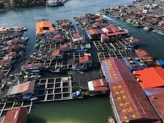 -蓝湾碧波·老字号·疍家非遗海上餐厅