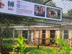 -合肥野生动物园