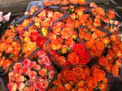 -循礼门鲜花花市(武汉循礼门店)