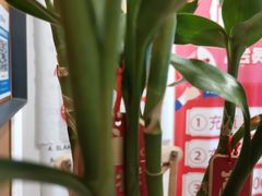 -佰推·肩颈腰·推拿理疗(湾悦城店)