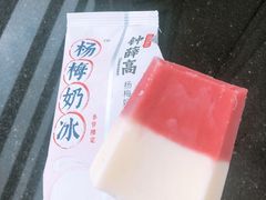 杨梅奶冰-钟薛高(南头古城店)