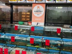 -洲晓鲜·舟山海鲜大排档(朱家尖风景区店)