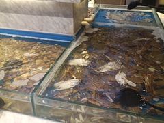 -川骄海鲜自助(河东店)