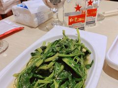 清炒豌豆尖-渝信川菜 · 川味家常菜(长安店)