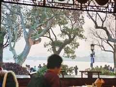 -楼外楼(西湖景区孤山路店)