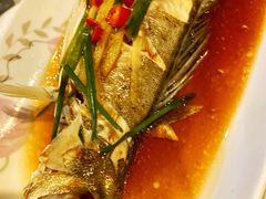-阿尔法海鲜排档(爱琴海店)