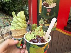 -九龙公园