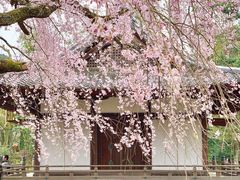 -醍醐寺